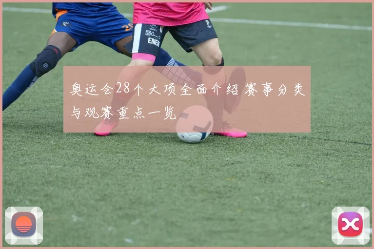 奥运会28个大项全面介绍 赛事分类与观赛重点一览
