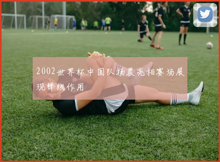 2002世界杯中国队杨晨亮相赛场展现锋线作用