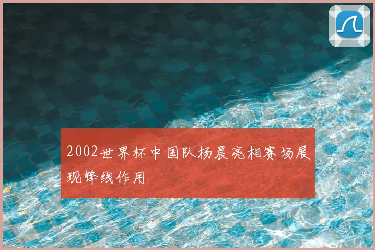 2002世界杯中国队杨晨亮相赛场展现锋线作用
