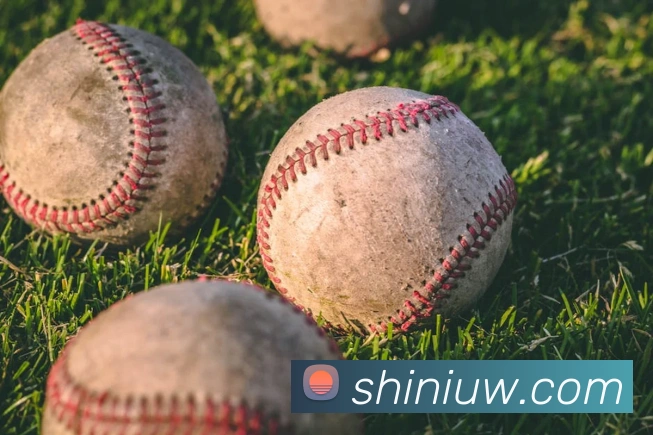 世界杯官方入口发展历程